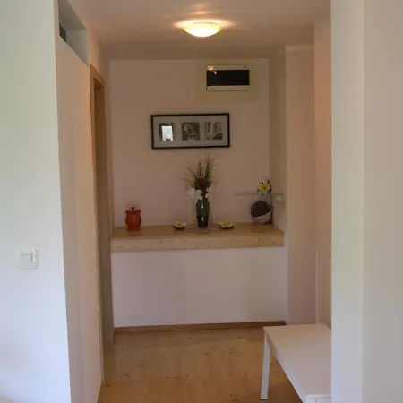 Apartment Dream Brglez *