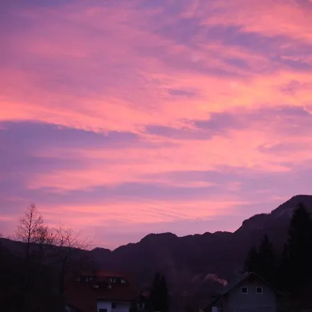 Apartment Dream Brglez *