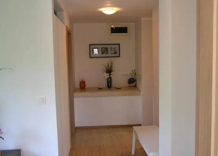 Apartment Dream Brglez *