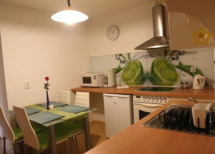 Dream Brglez 波希基斯卡贝拉